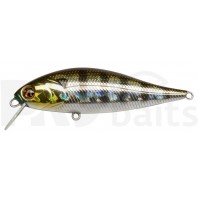 Pontoon21 Bet-A-Shiner